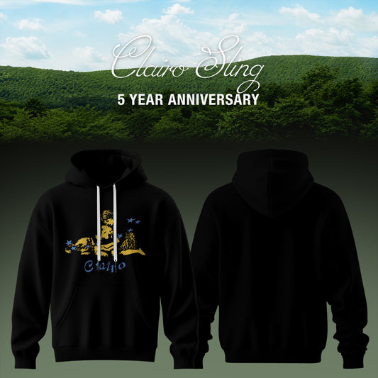 Sling 5 Year Anniversary Premium 3D Hoodie - Style 6
