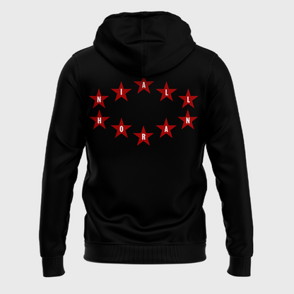 Special New Niall Horan Nashville,TN Hoodie 2026